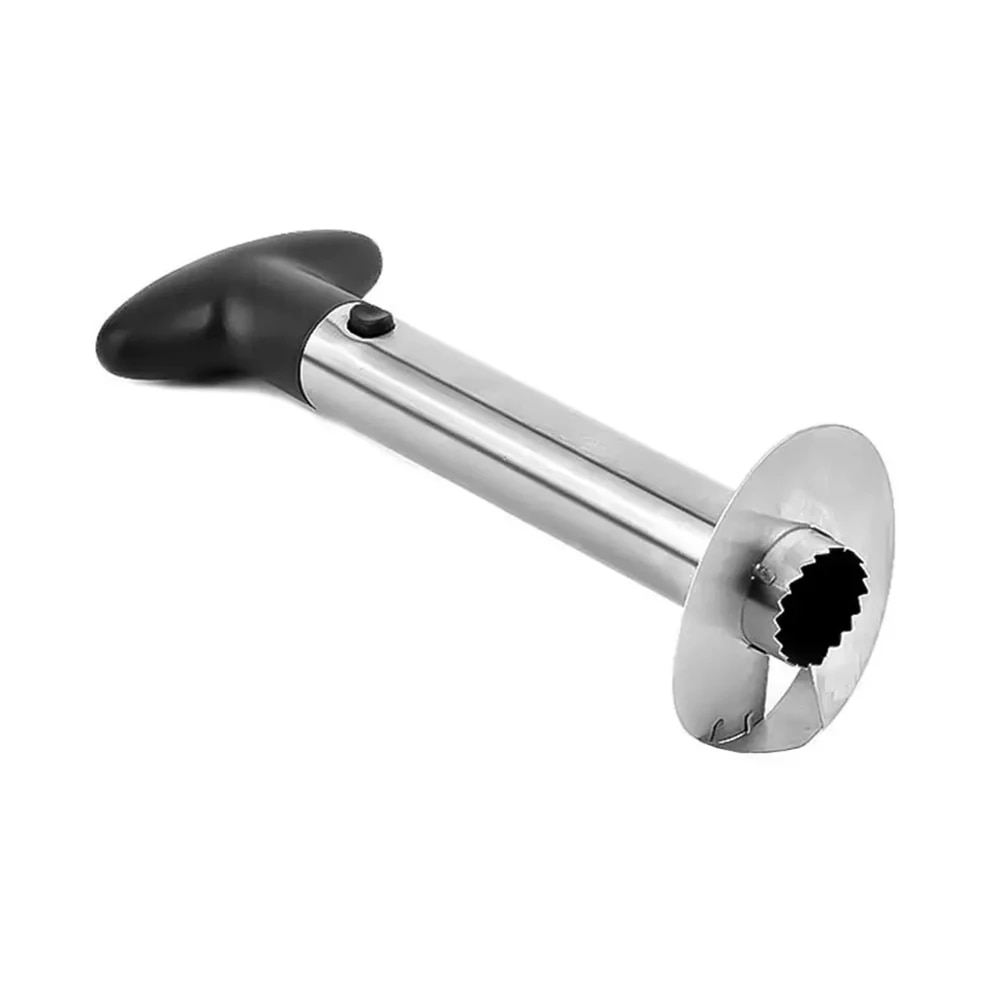 Spot Acciaio inossidabile Anan - Pineapple Corer Slicer recensione e prezzo